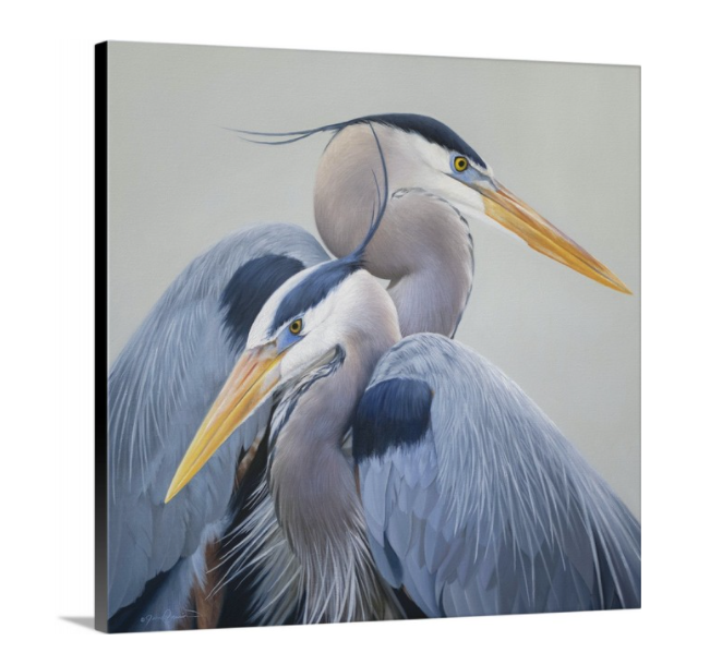 Fine Art Kit Video Code - Unlock Instructional Step by Step Painting T –  James Corwin Fine Art - Wildlife Artist