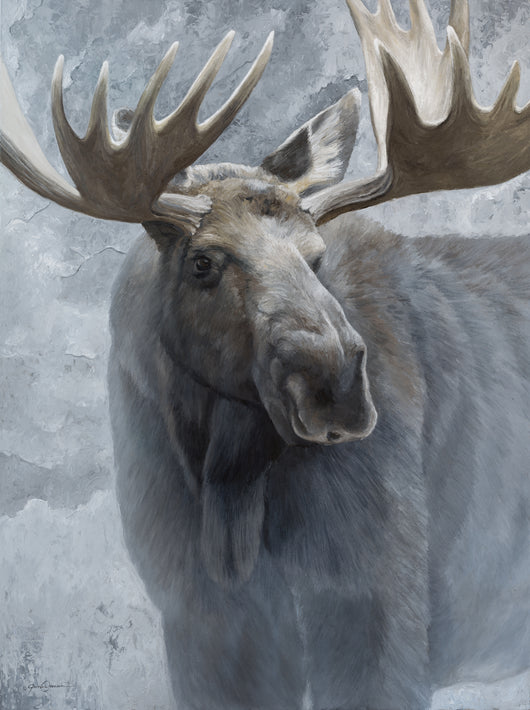 Silver Moose