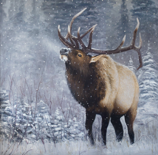 Emperor of the Woods – James Corwin Fine Art - Wildlife Artist