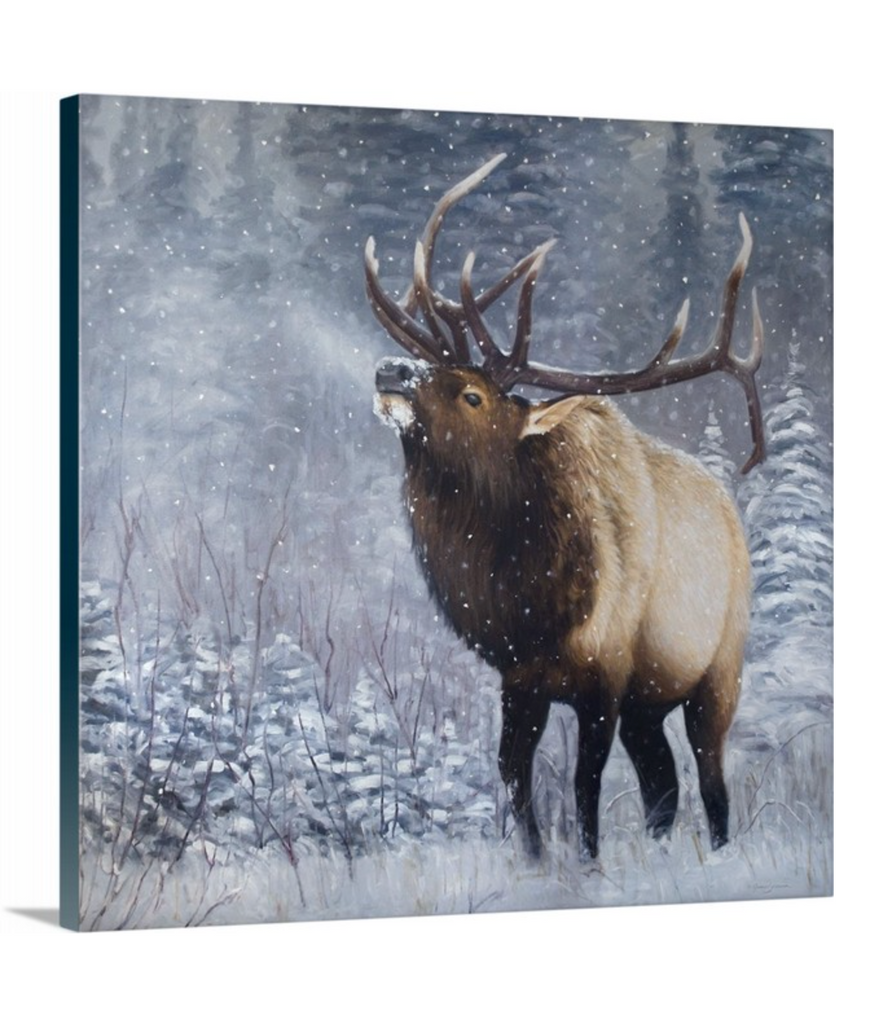 Emperor of the Woods – James Corwin Fine Art - Wildlife Artist