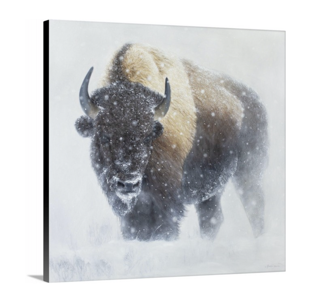 Whiteout- Open Edition – James Corwin Fine Art - Wildlife Artist