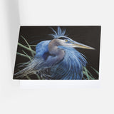 Bird Watcher Notecard Pack