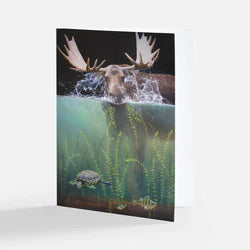 Aquatic Animal Notecard Pack