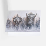 Bison Notecard Pack