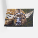 Elk Notecard Pack